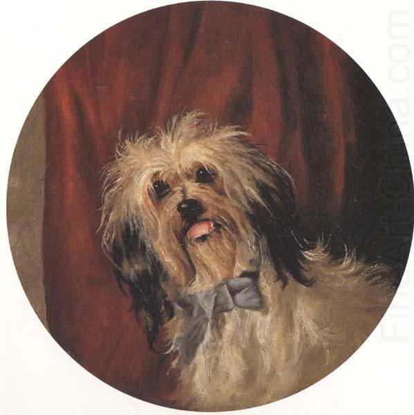 Percy Gray The Artist's Dog (mk42) china oil painting image